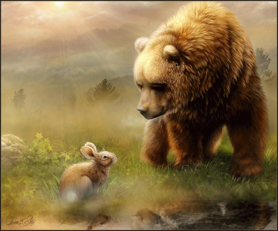 Кролик и медведь