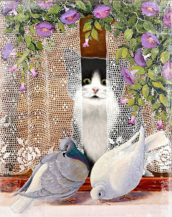 Кошка и голуби