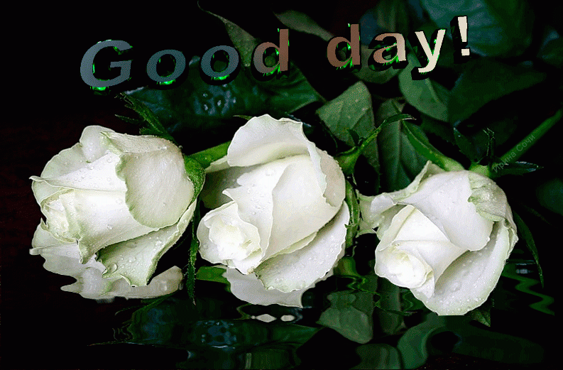 Good day ! – Хорошего дня !