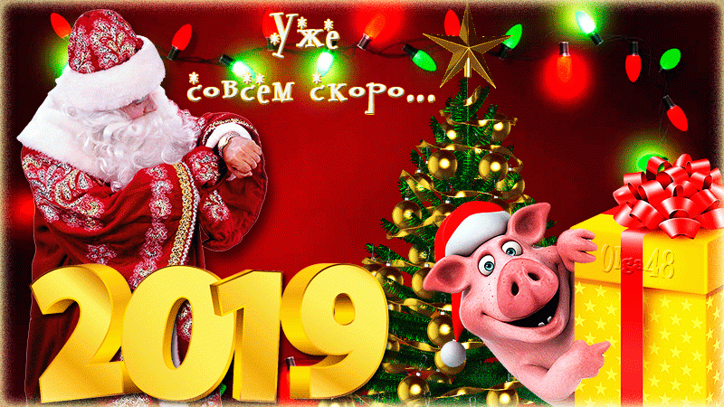 Поздравления С Новым Годом 2021 Свиньи Открытки