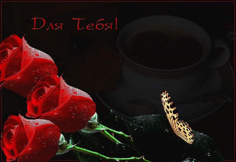 Розы, кофе, бабочка – Для тебя !