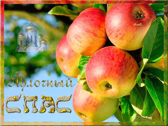 Какого числа Яблочный Спас – 19 августа