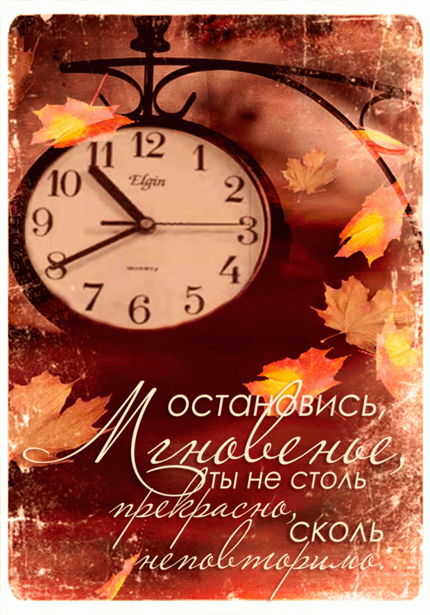 Время, осень, фразы, мгновенье