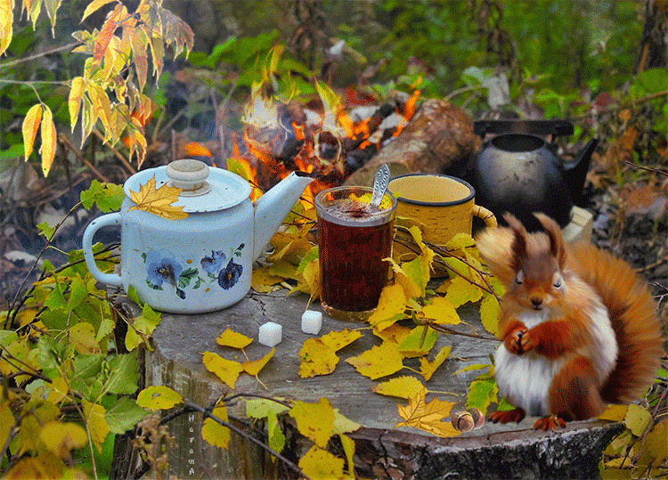 Осеннее чаепитие