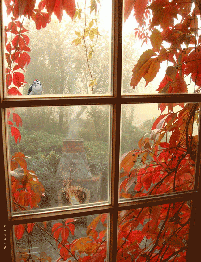 Осенний вид с окна