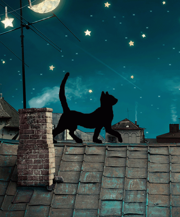 Доброй ночи ! Кошка на крыше