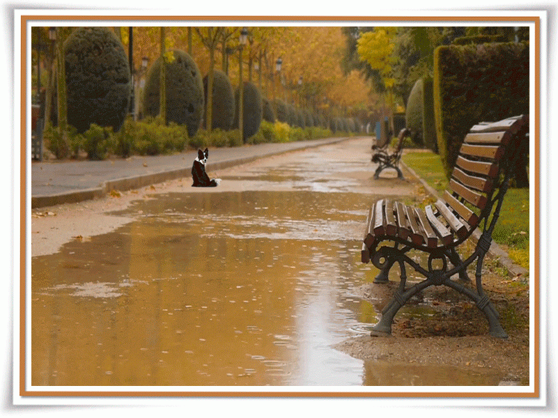 Картина осенний дождь
