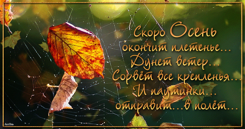 Осень со стихами