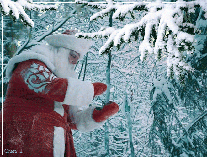 Дед Мороз в зимнем лесу