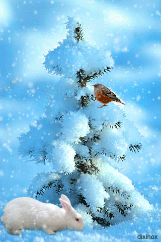 Зима, елка, снег, кролик