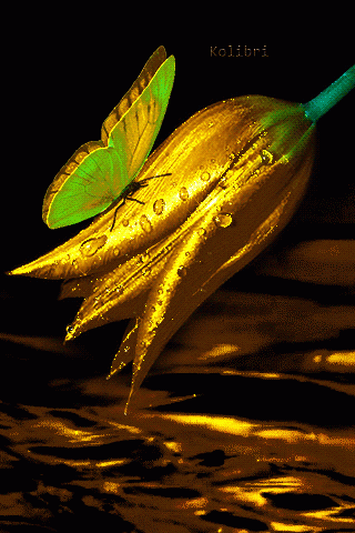 Золотой цветок и бабочка