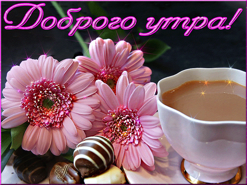 Цветы, сладости, кофе – Доброго утра !