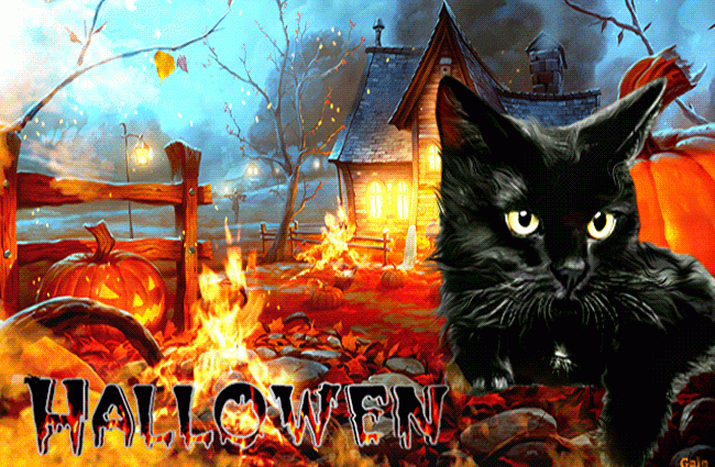Черная кошка - Хэллоуин