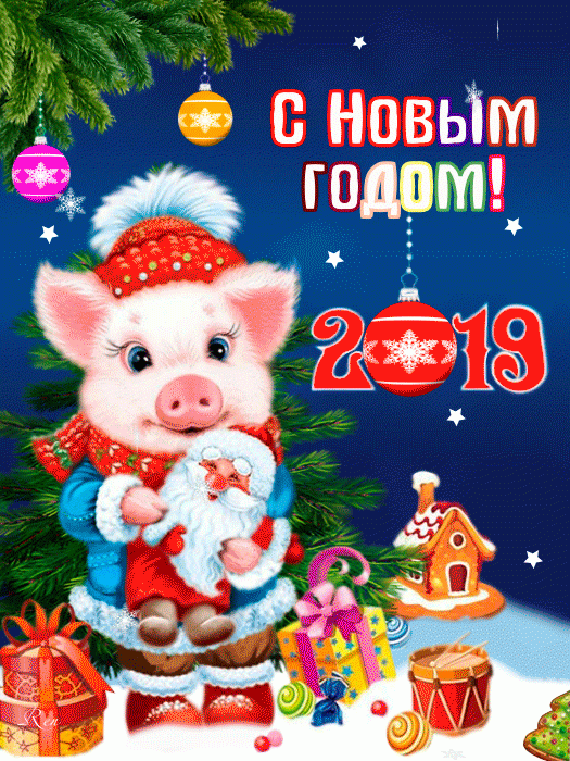 Хрюша, 2019 год, Новый год