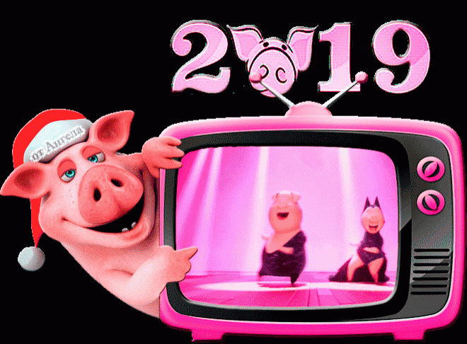 Прикольная картинка со свиньей 2019