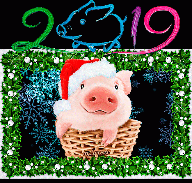 Свинья в корзинке, 2019 год