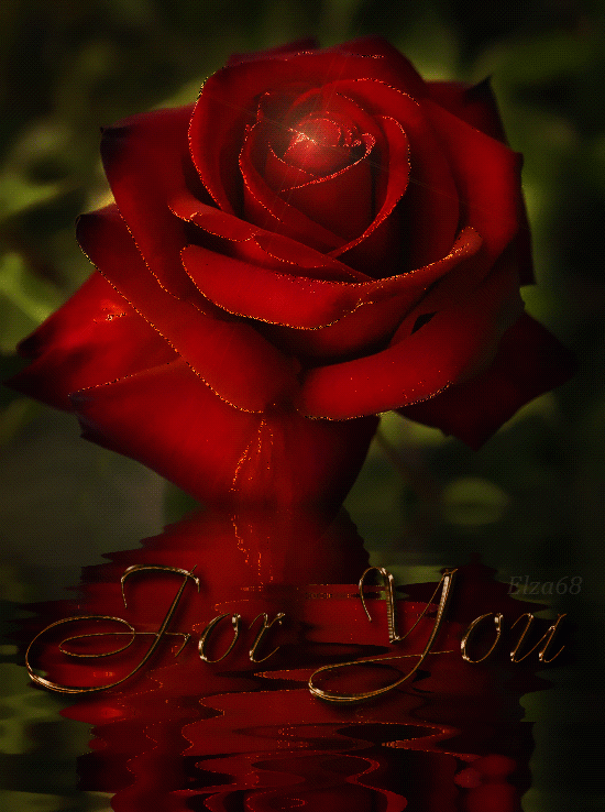 Red rose, For you
