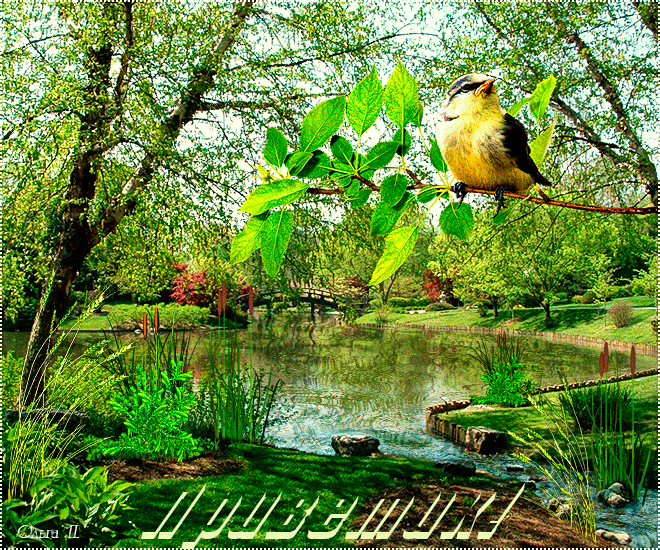 Гифки с добрым утром природа. Лес река цветы птицы. Анимационные весенние птицы. Привет отличного дня с природой. Птицы в летнем лесу.