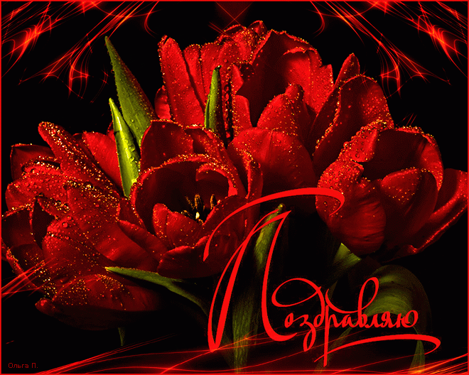 Красные тюльпаны с надписью поздравляю