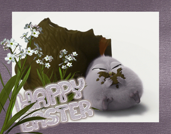 Funny, Happy Easter !