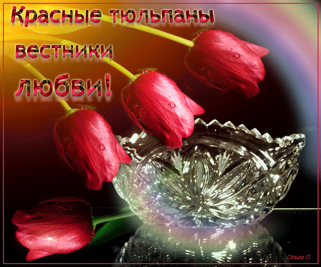 Красные тюльпаны вестники любви !