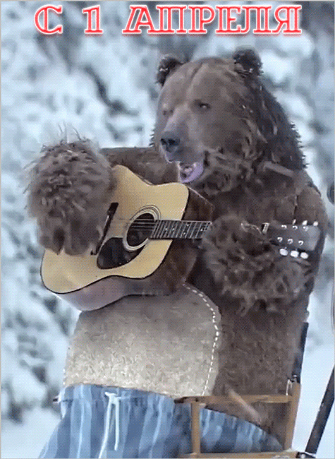 С 1 АПРЕЛЯ ! Медведь с гитарой