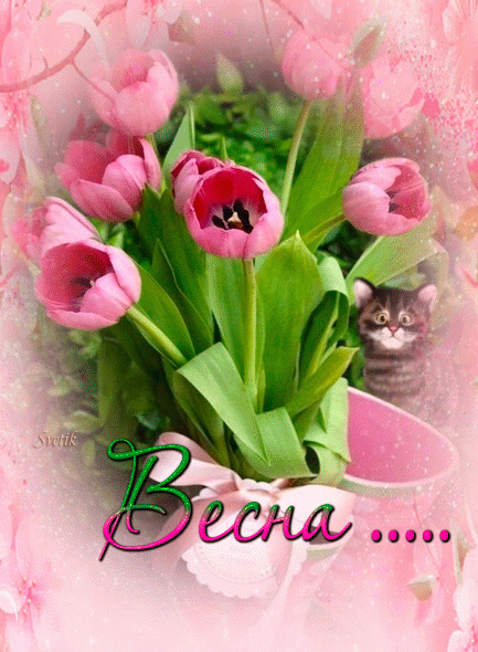 Весна, цветы, тюльпаны
