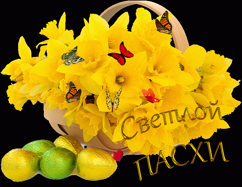 Желтые цветы - Светлой Пасхи !