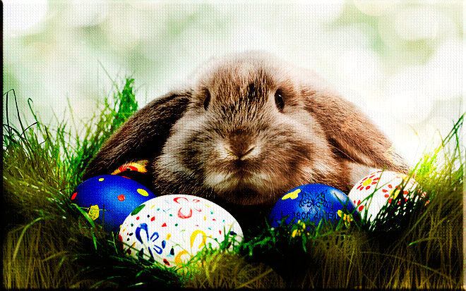 Пасхальные яйца и кролик