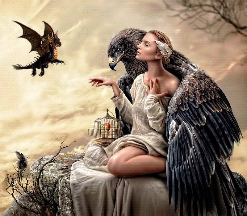Девушка, орел и дракон