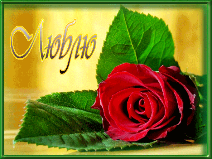 Доброе утро картинки с розами и надписями. Доброе утро красные розы с надписью. Доброе утро Наденька открытка. Доброе утречко Надюша. Открытки доброе утро с розами.