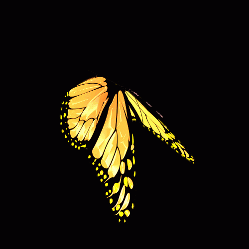 3D Бабочка