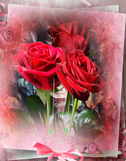 Красные розы, С Днем рождения !