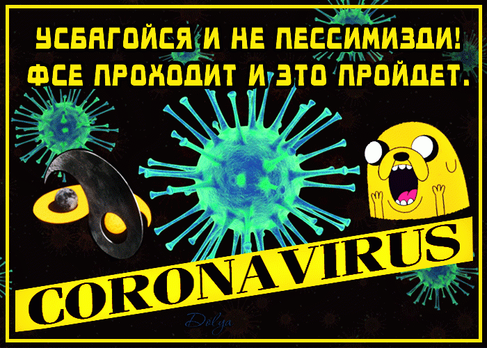 COVID – 19 Coronavirus