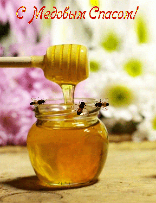 Мёд, пчелы, С Медовым Спасом !