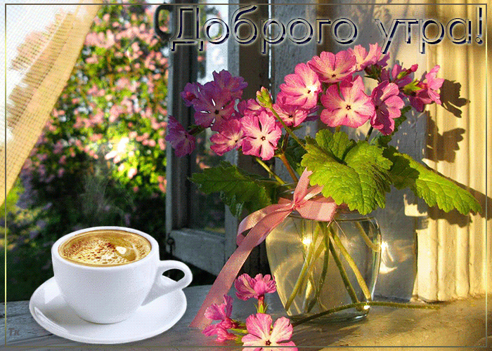 Доброе утро, цветы, чашка кофе