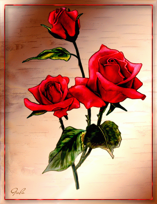 8 Марта, три красные розы