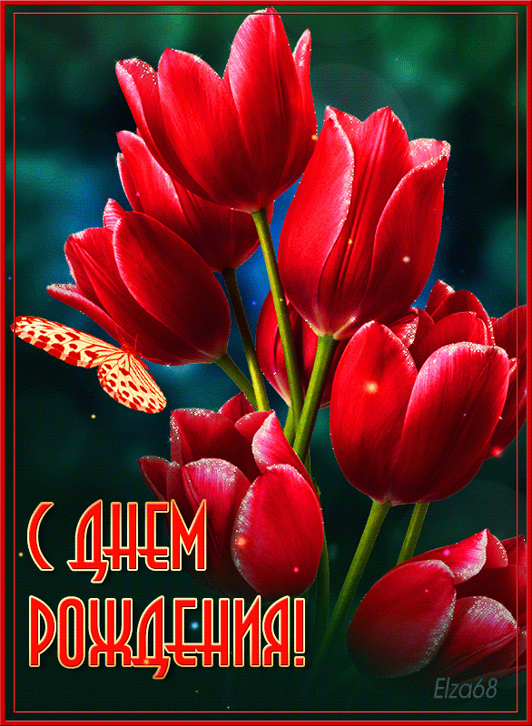 С Днем рождения ! Красные тюльпаны