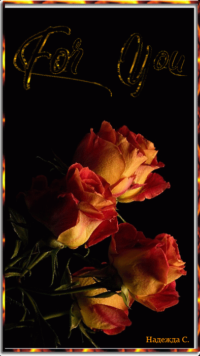 Розы во мраке