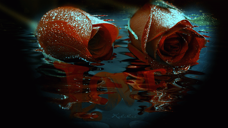 Две розы в воде