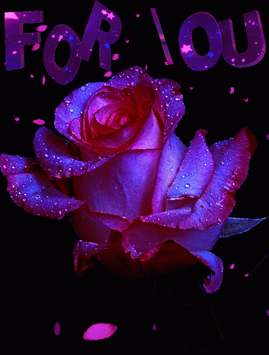 Фиолетовая роза – For You