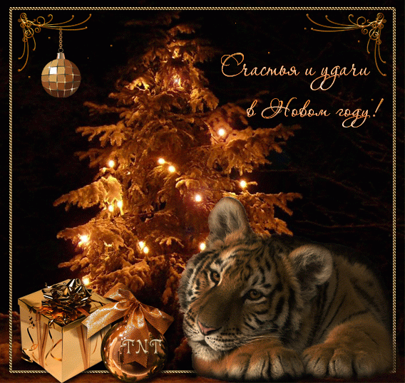 Счастья и удачи в Новом году тигра !