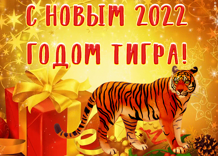 С Новым 2022 годом тигра !