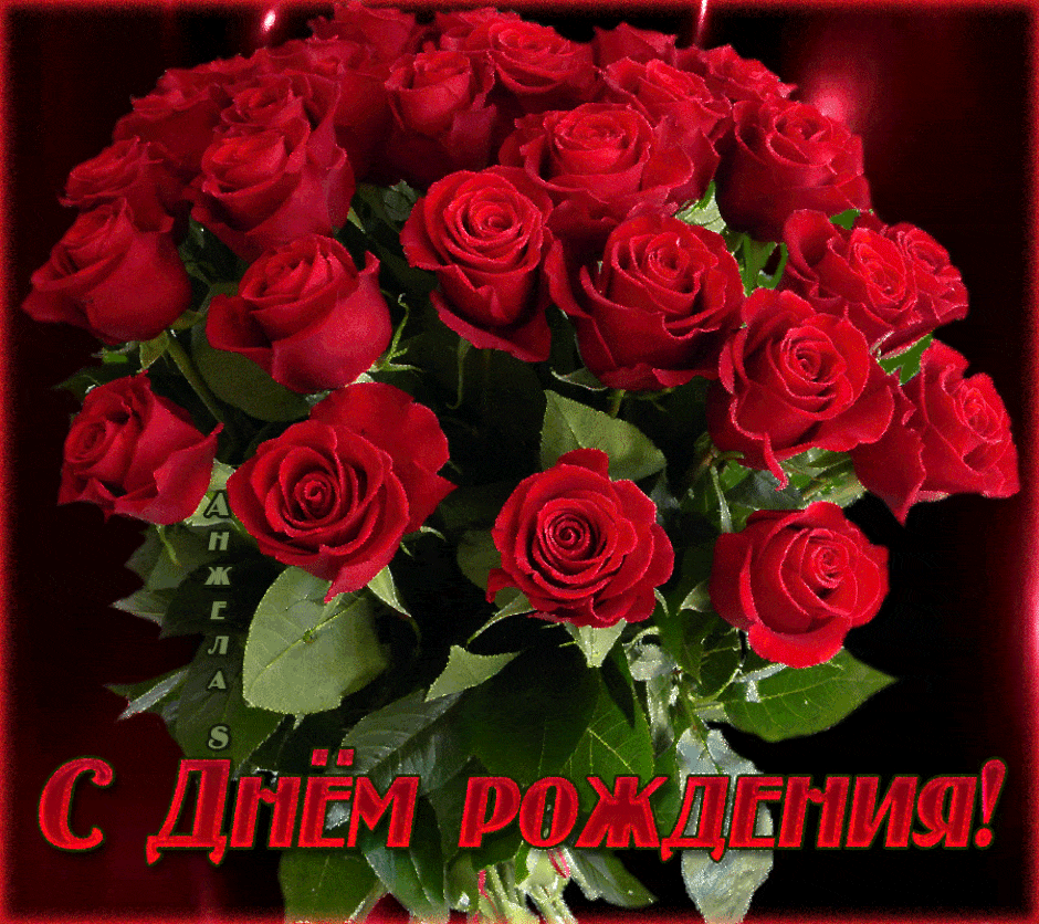 Букет красных роз – C Днём рождения !