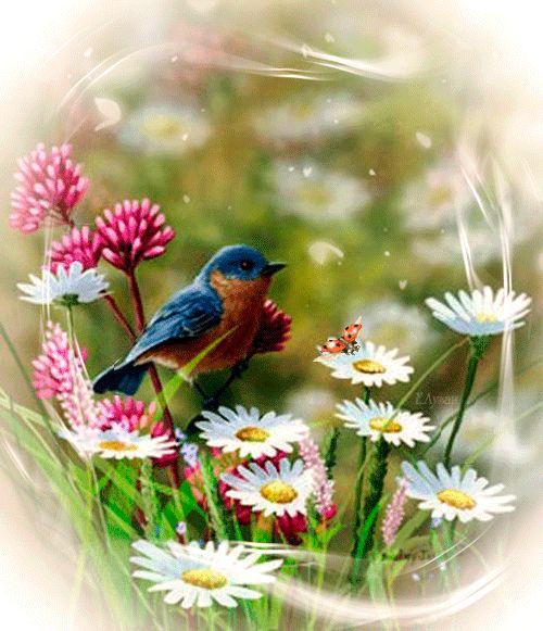 Доброе утро, птичка, цветы