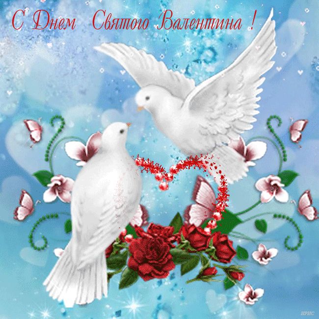 Два белых голубя - День Валентина