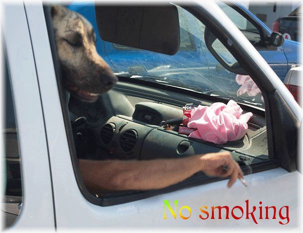 В автомобиле не курить
