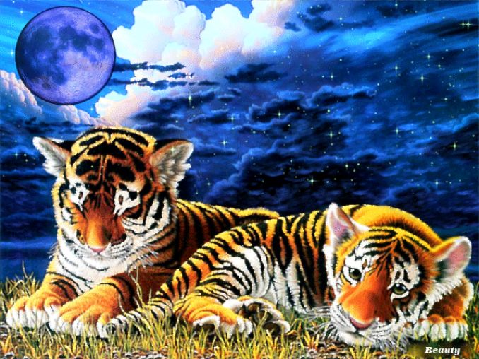 Картинка два тигренка