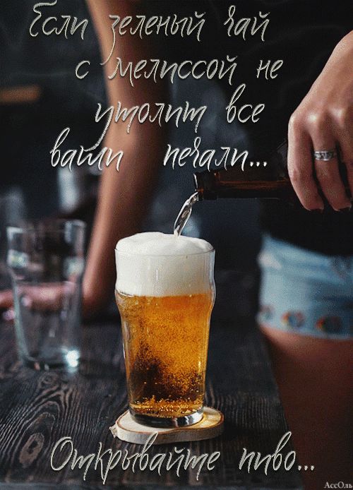 Прикольная фраза про пиво