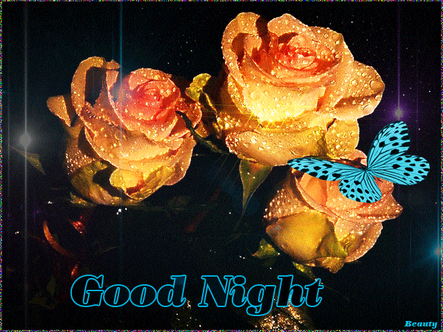 Good Night, roses